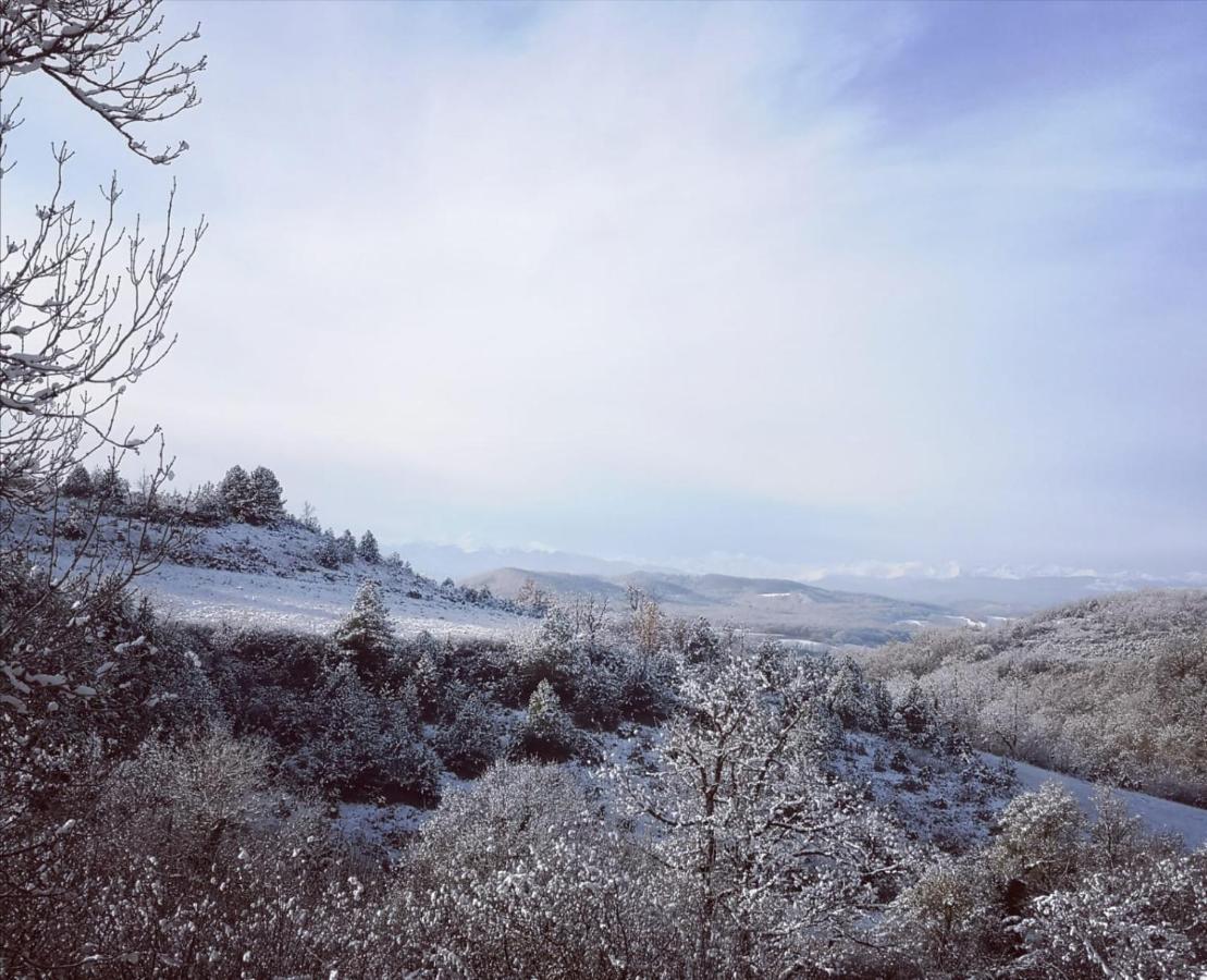 Cazals-des-Bayles Terres De Barrejatヴィラ エクステリア 写真