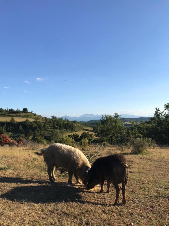 Cazals-des-Bayles Terres De Barrejatヴィラ エクステリア 写真